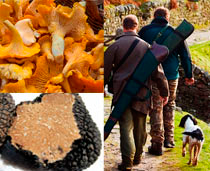 Cocina de Caza, Setas y Trufas