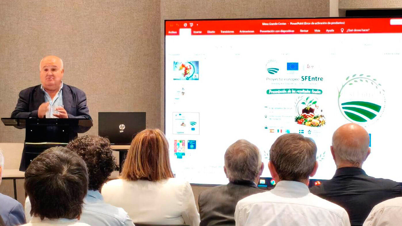 Noticia: Jornada final del proyecto europeo SFEntre